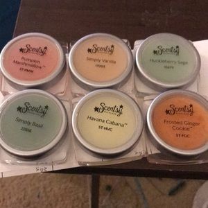 Scentsy sample